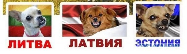 Латвия намекнула живущим в стране гражданам РФ на депортацию