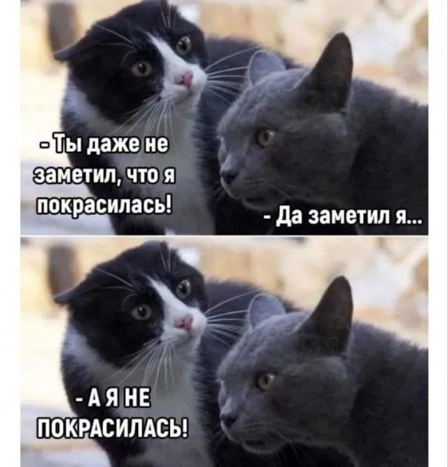 Бессистемно: картинки, лайфаки, баяны…