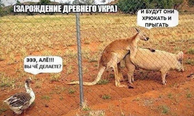 Школа джедаев. Начало