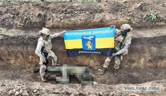 Обстановка на дорогах Белгородчины 14.03.24
