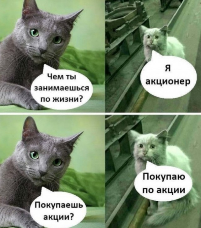 День уважения кошки