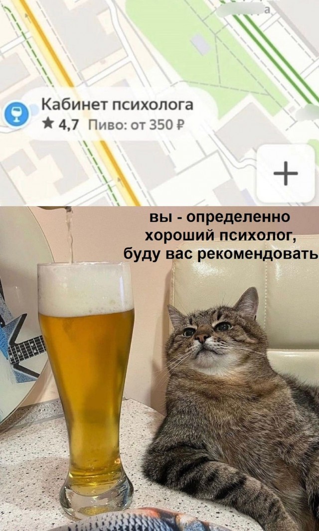 44 пятничных картинки 31.05.2024