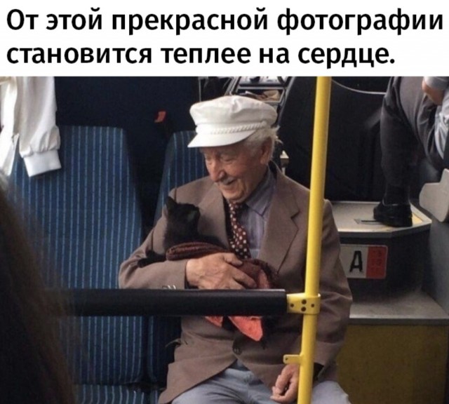 У дедушки тоже котовторник