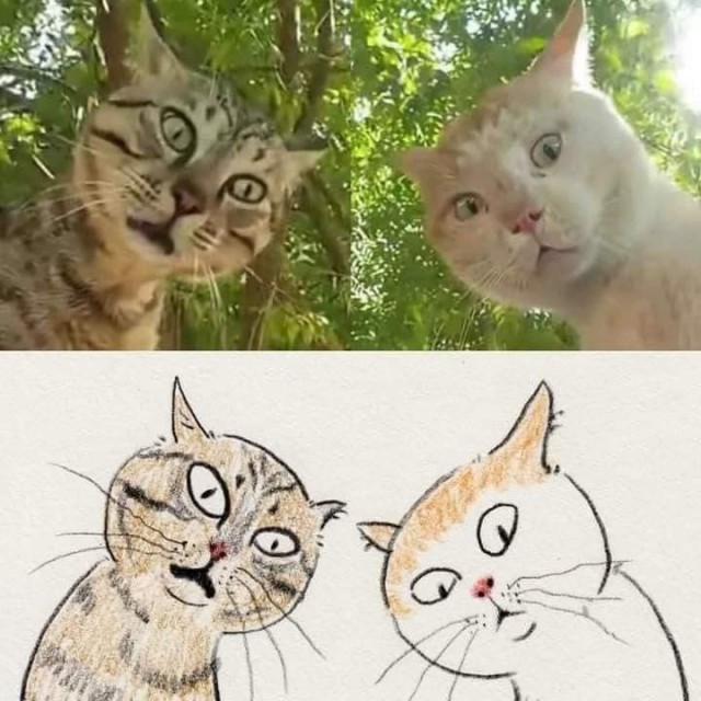 Настоящее искусство, ничего лишнего