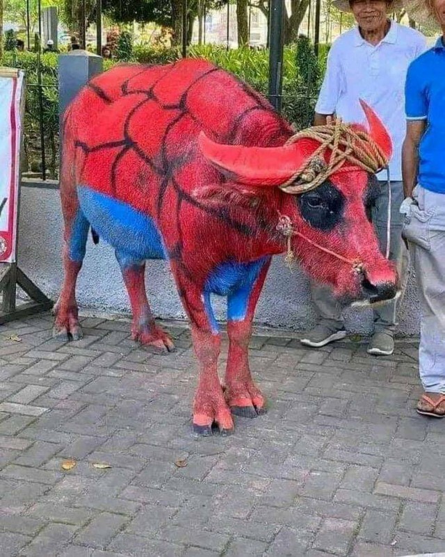 ФотоВинегрет
