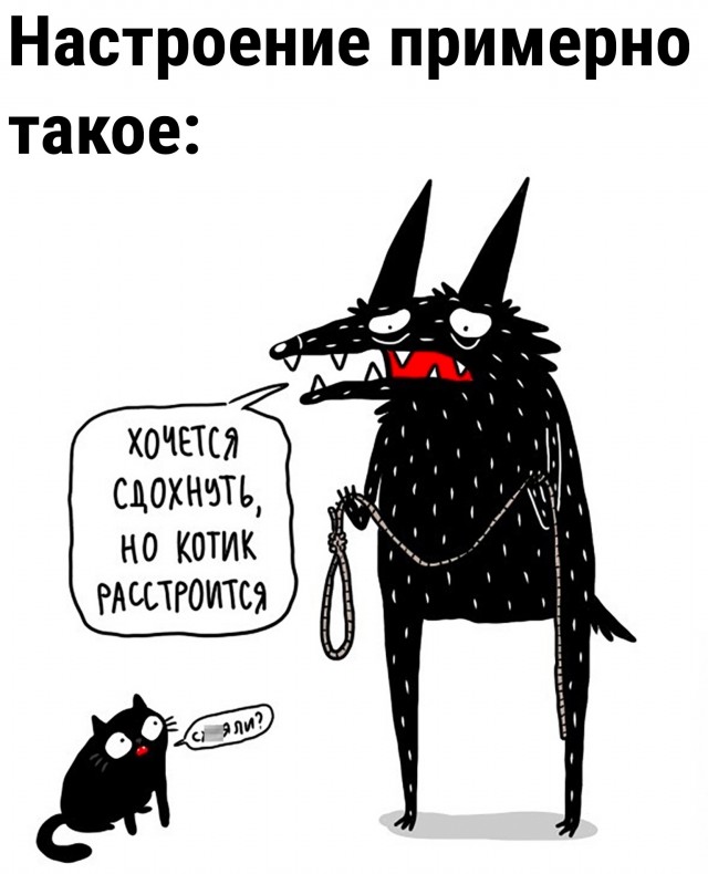 Так себе картинки 02.03.25