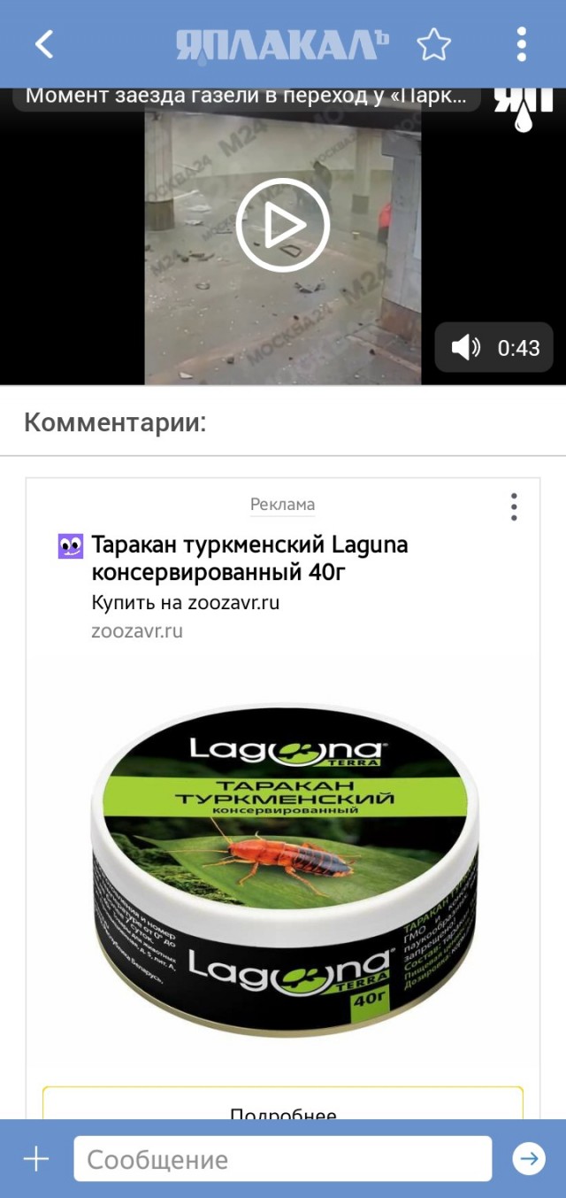 Момент заезда газели в переход у «Парка Победы» попал на камеру