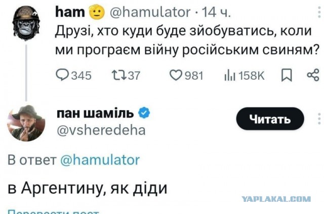 Если Украина не победит
