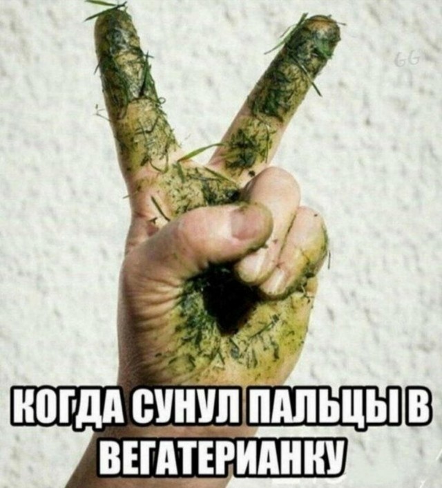 Так себе картинки 06.05.25