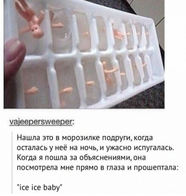 20173408.jpg