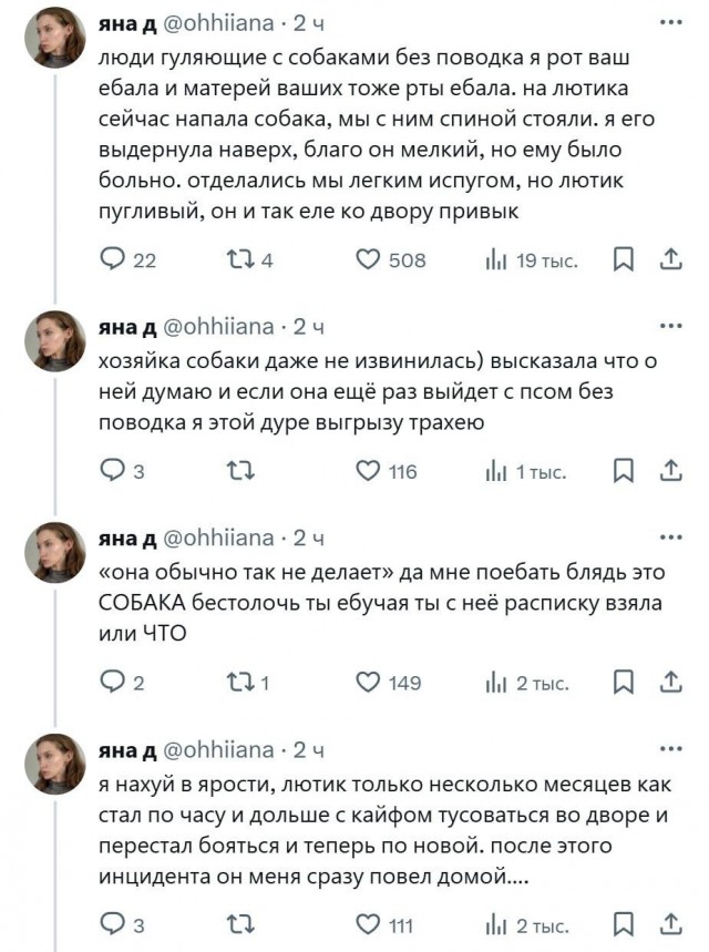 На любой собаке чуть больше кошки на улице должен быть намордник и поводок.