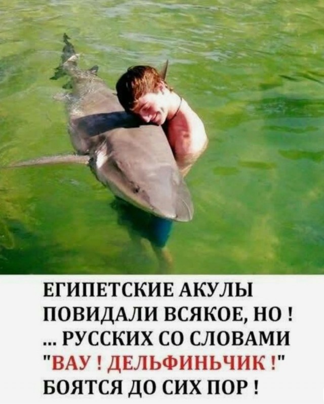 20450408.jpg