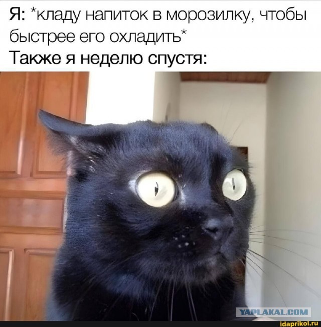 Картинки для деградации 86 (разной степени свежести)