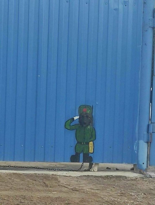 Пятничные картинки