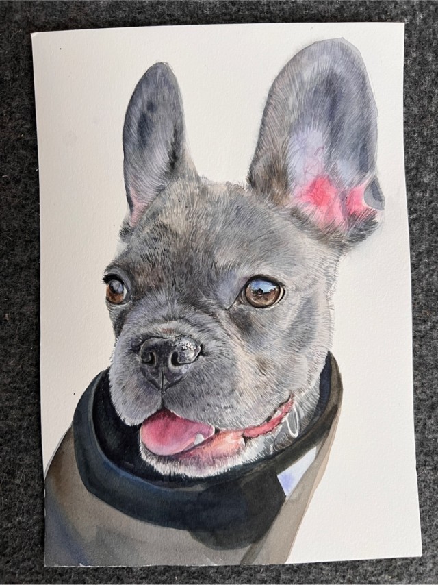 Пепсы преимущественно и кошка, портреты