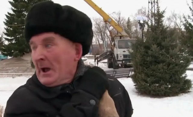 Опасные новогодние «ёлочные» клещи атакуют квартиры россиян