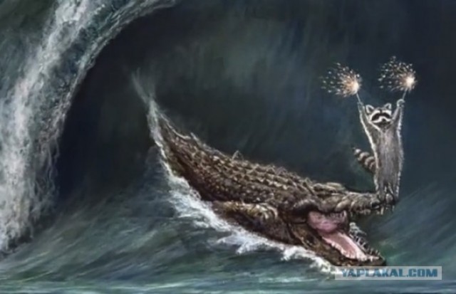 Жена ЯПовца