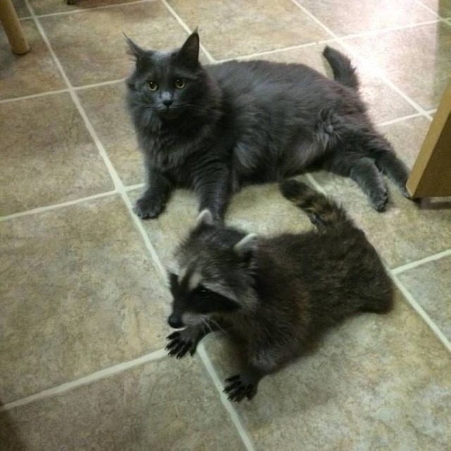 Картинки на пятницу 20.02.26