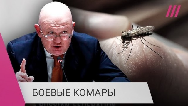 Екатеринбург подверглся атаке БПЛА