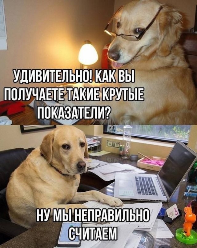 Картиночки, баянчики 05 июня