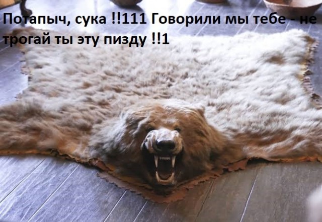 В районе на Алтае, где медведь убил туристку, ликвидировали 12 медведей