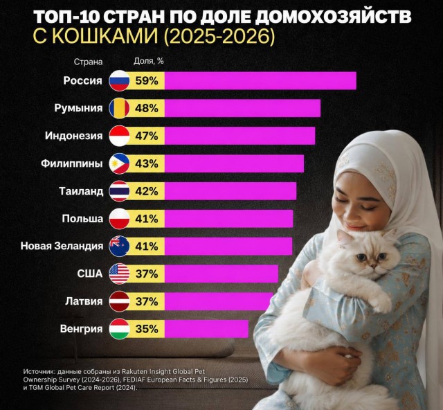 Россия — страна кошатников. Теперь официально.
