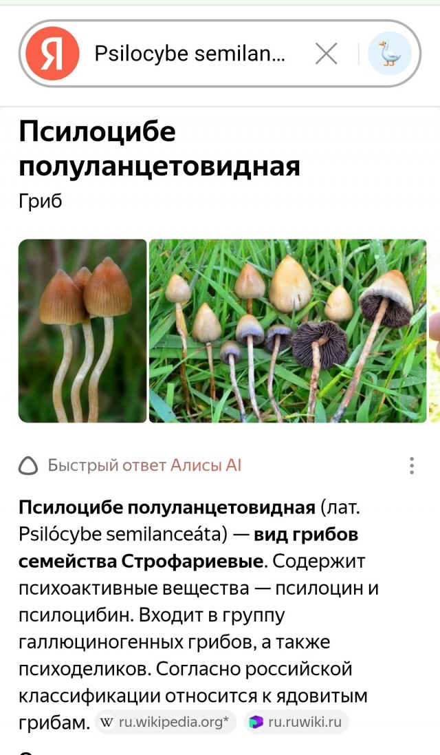 Чьих будет ?