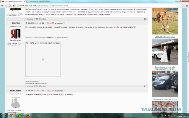 Три маленьких котенка ждут помощи!