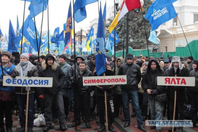 Визуализируем свои ники!