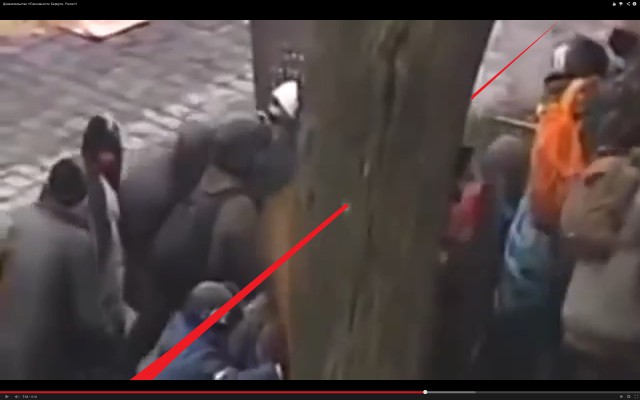 Доказательство НЕвиновности Беркута