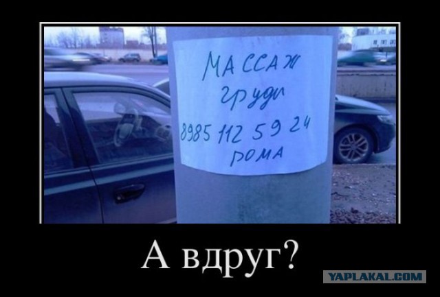 Смешные картинки