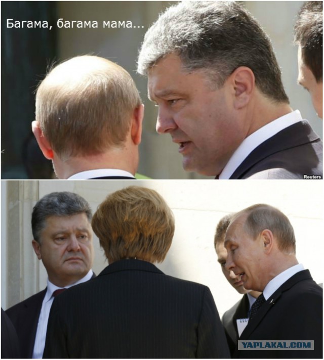 Похоже он его боится