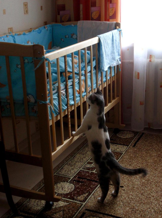 Одна булочка на двоих