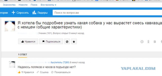 Комментарии и картинки из соц. сетей