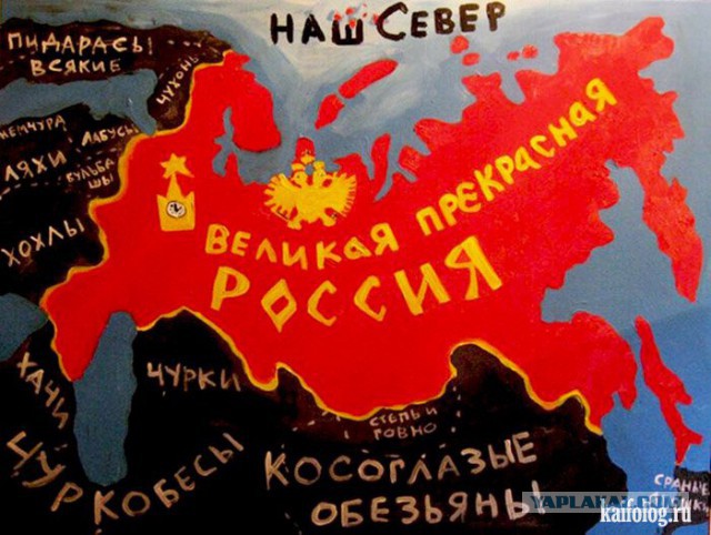 Подборка веселых картинок