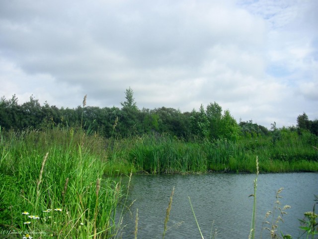 В черном городе