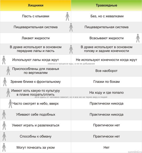 Человек: хищник или травоядное?