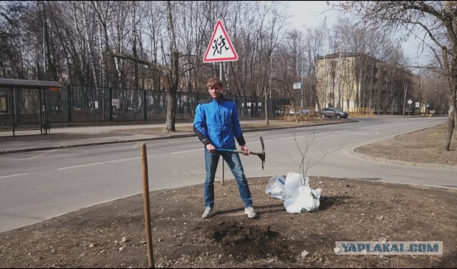 Мой метод борьбы с парковкой на газоне