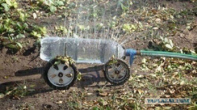 Теплица. Офисный рукожоп-3.