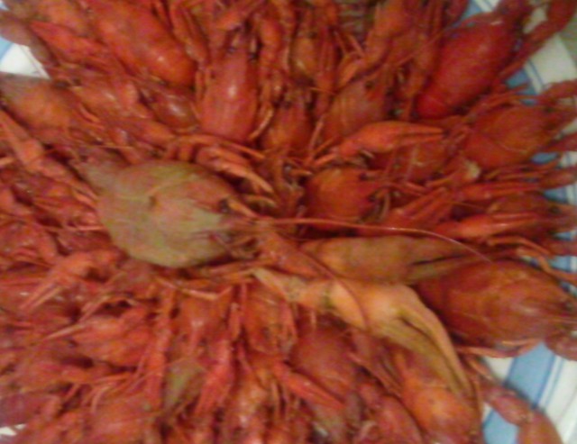 Решил достроить дачу
