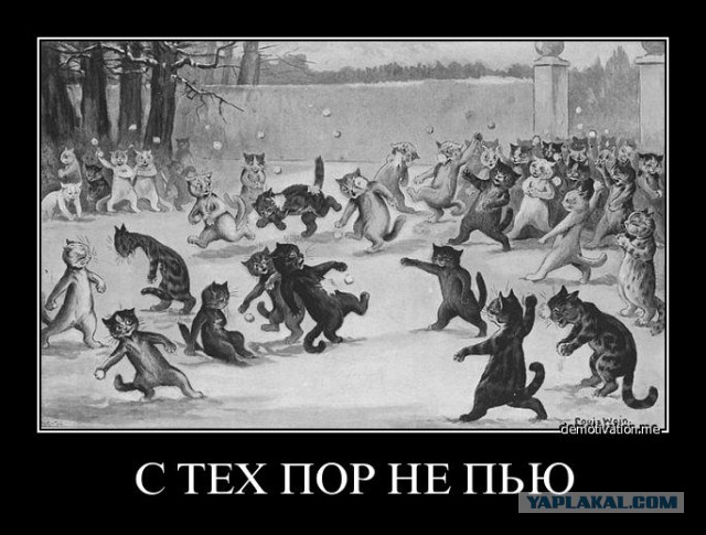 Неправильный кот.