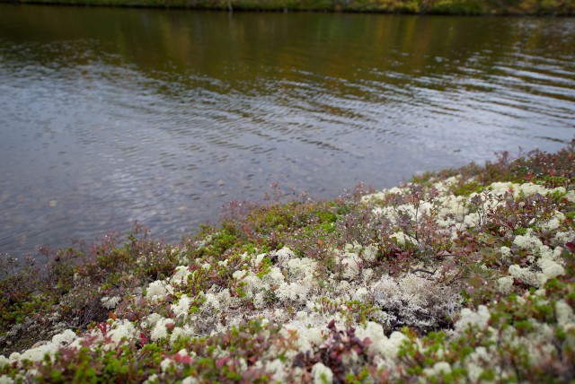 Поездка на Кольский полуостров.