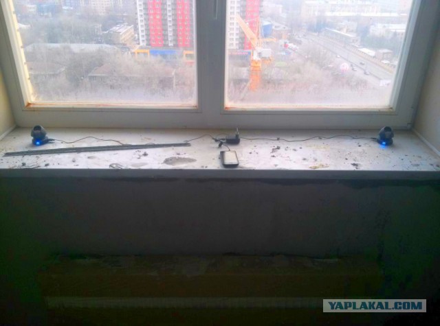 Хобби на 9 месяцев