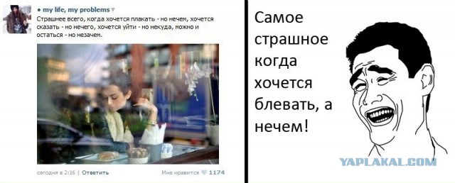Ужасы и приколы из соцсетей 18+