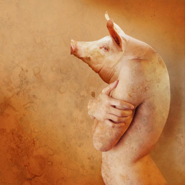 Картинки наркомании