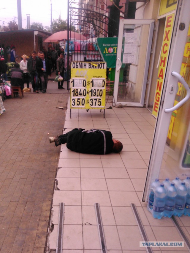 Ужасы и приколы из соцсетей 18+