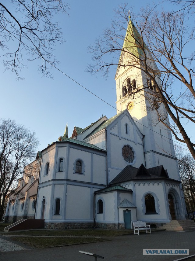 Зимний Калининград