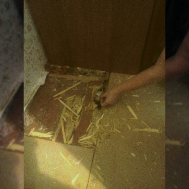 Услышали мяуканье под полом