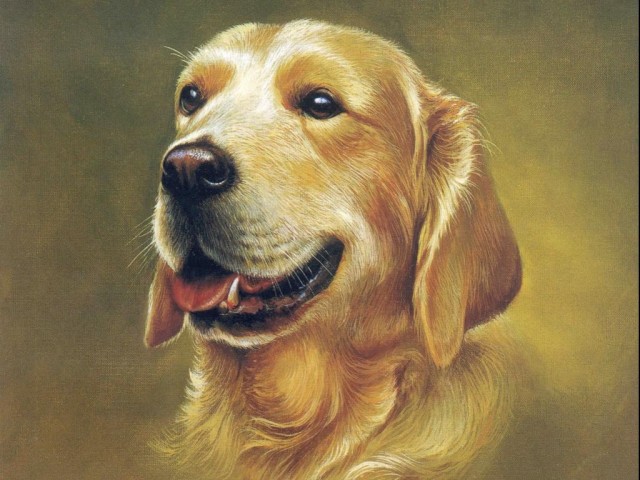 Рисованное зверьё
