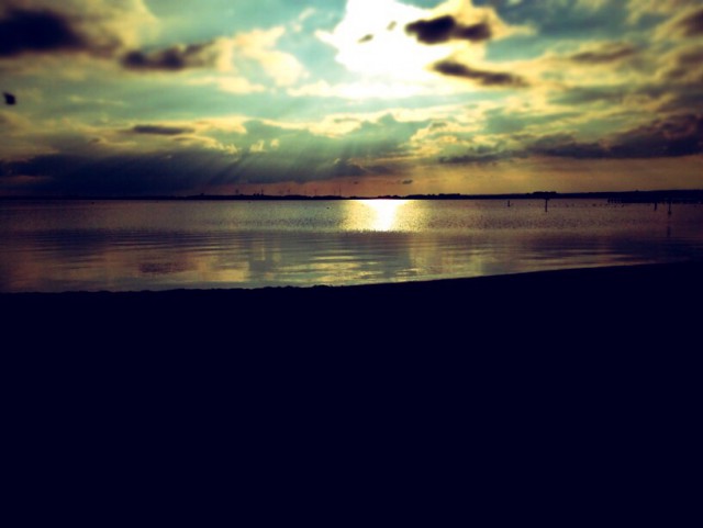 Картинки из сети